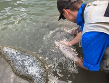 Fly Fishing in Trentino