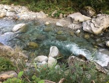 Fly Fishing in Trentino