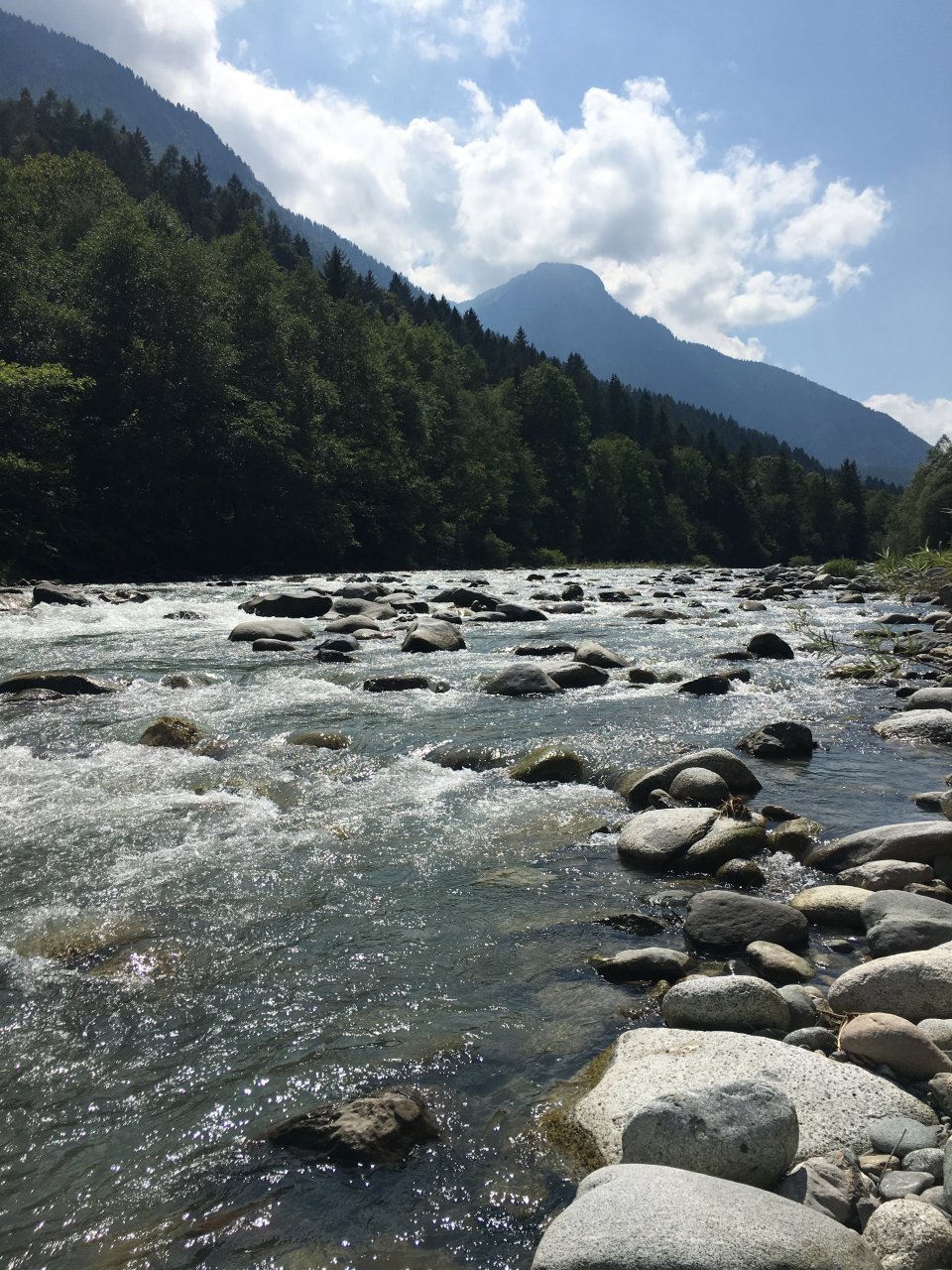 Fly Fishing in Trentino