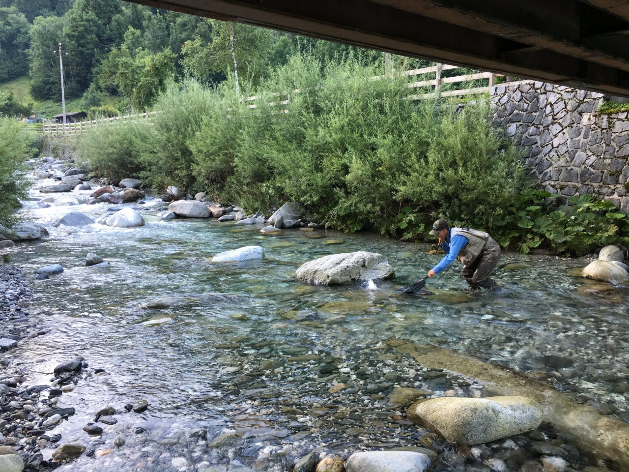 Fly Fishing in Trentino