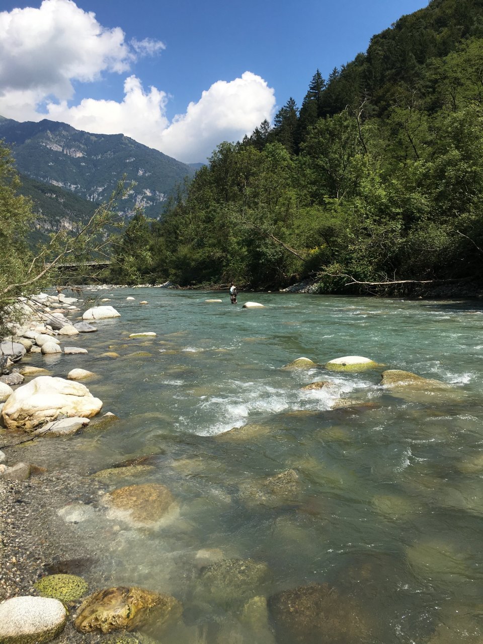 Fly Fishing in Trentino