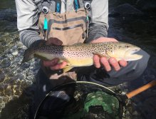 Fly Fishing in Trentino