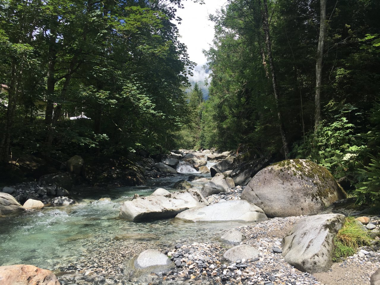 Fly Fishing in Trentino