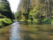 Hejlovka stream near Pelhrimov, Czech Republic