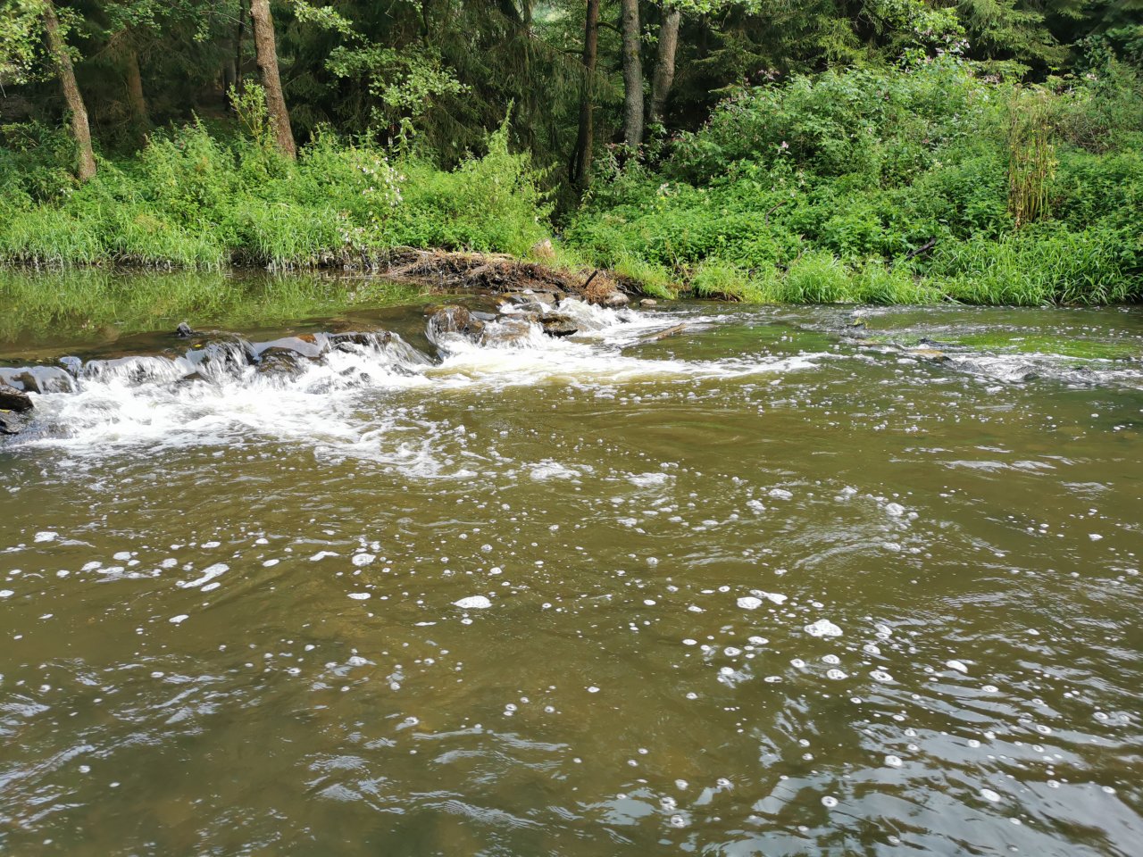 Hejlovka stream near Pelhrimov, Czech Republic