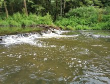 Hejlovka stream near Pelhrimov, Czech Republic