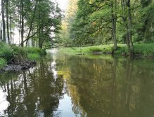 Hejlovka stream near Pelhrimov, Czech Republic