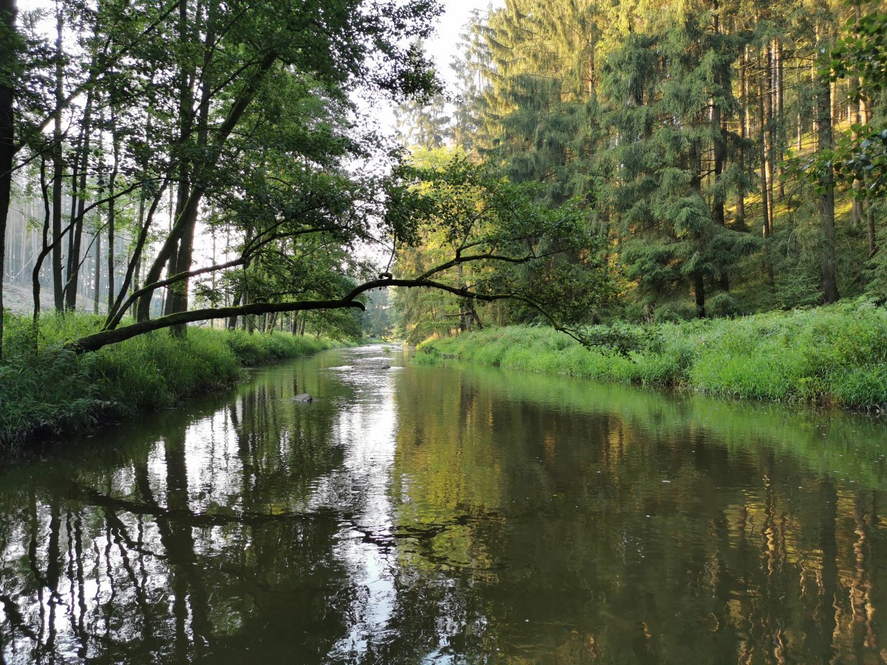 Hejlovka stream near Pelhrimov, Czech Republic