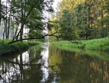 Hejlovka stream near Pelhrimov, Czech Republic