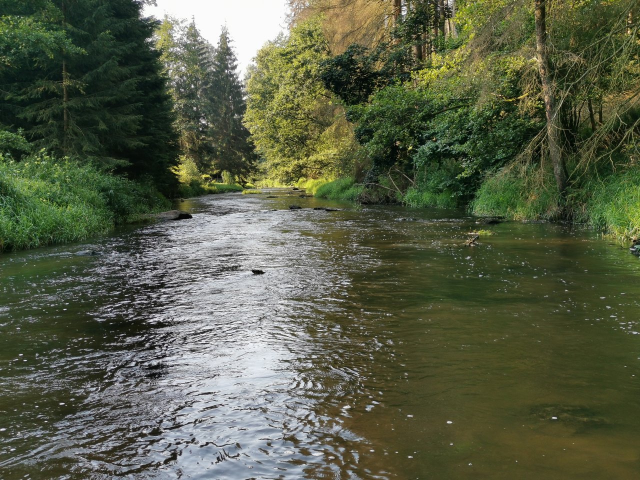 Hejlovka stream near Pelhrimov, Czech Republic