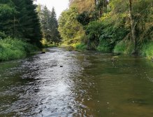 Hejlovka stream near Pelhrimov, Czech Republic