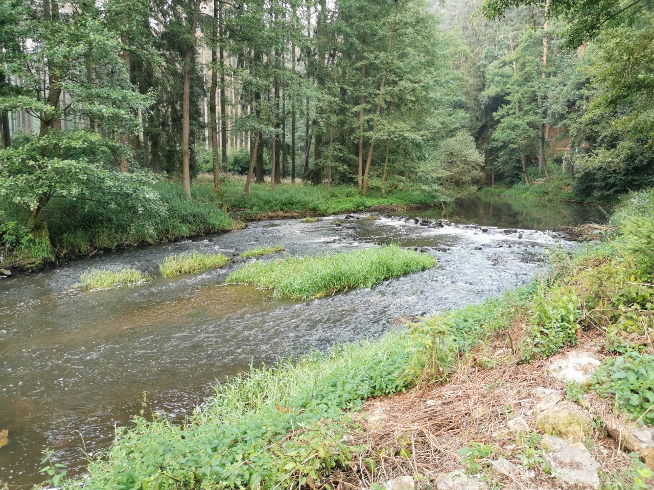 Hejlovka stream near Pelhrimov, Czech Republic