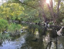 Litávka above Kraluv Dvur