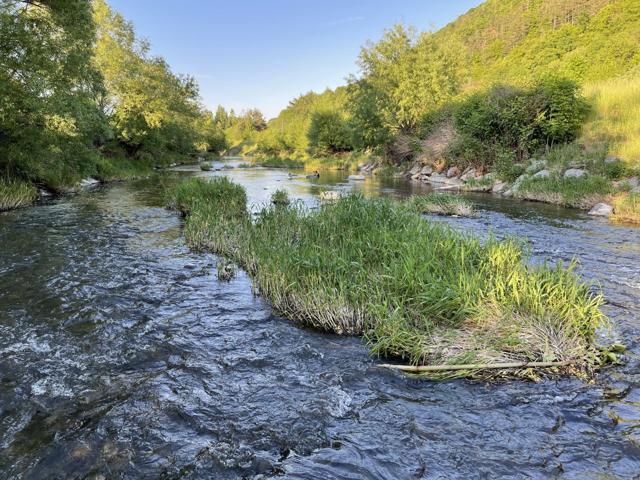 Lit�vka above Kraluv Dvur