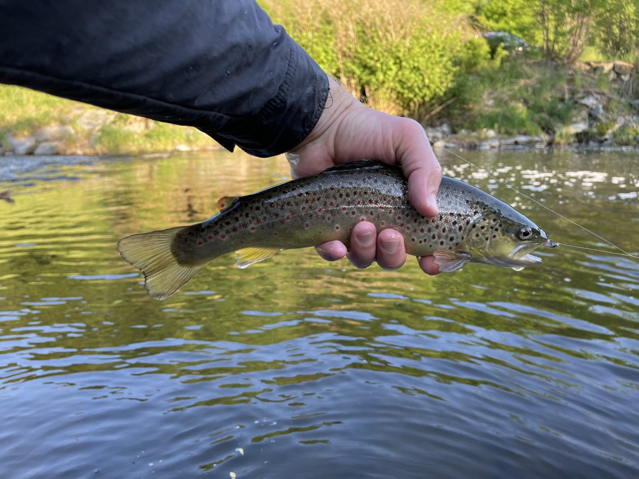 Lit�vka above Kraluv Dvur