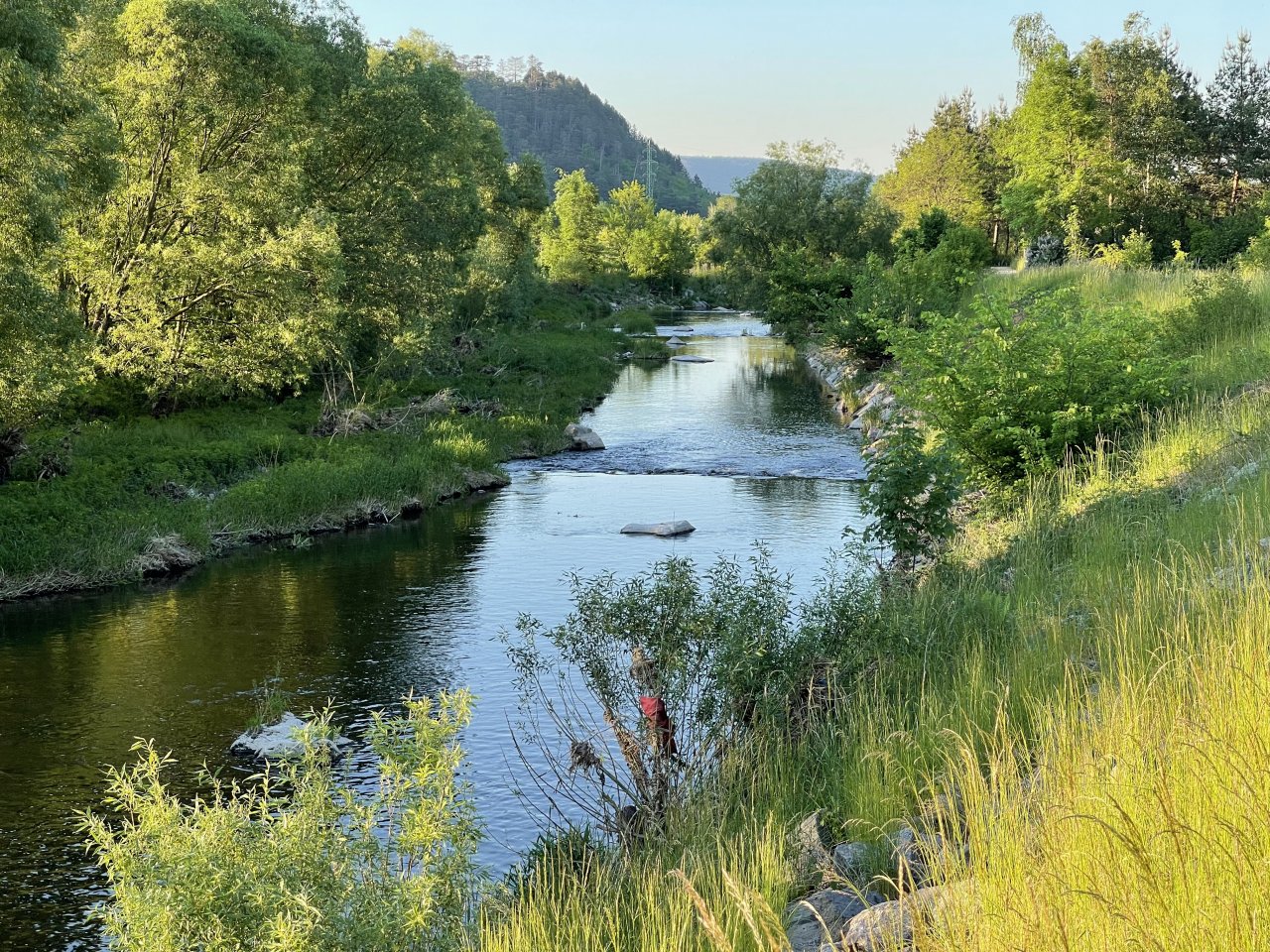 Lit�vka above Kraluv Dvur