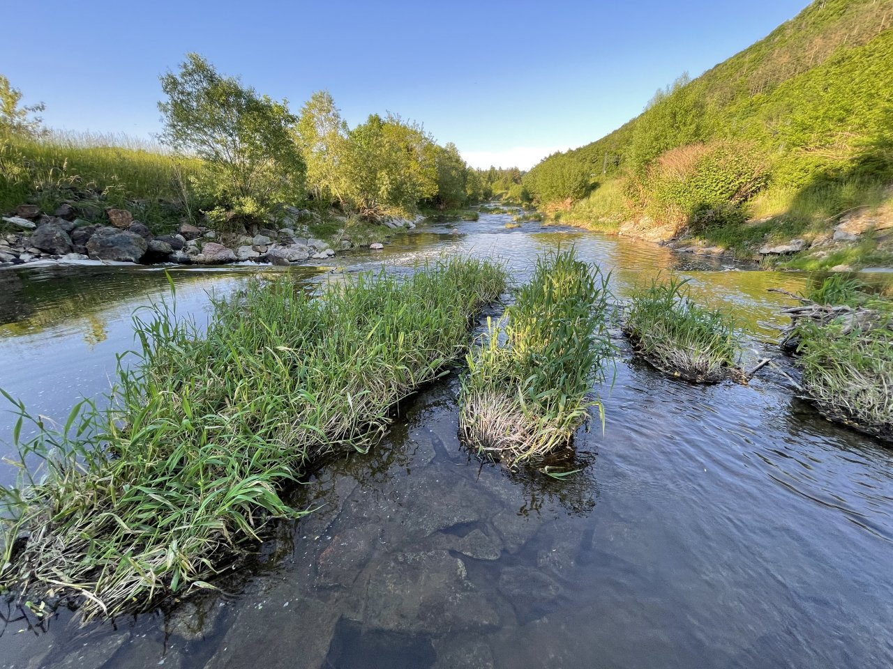 Lit�vka above Kraluv Dvur