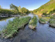 Litávka above Kraluv Dvur