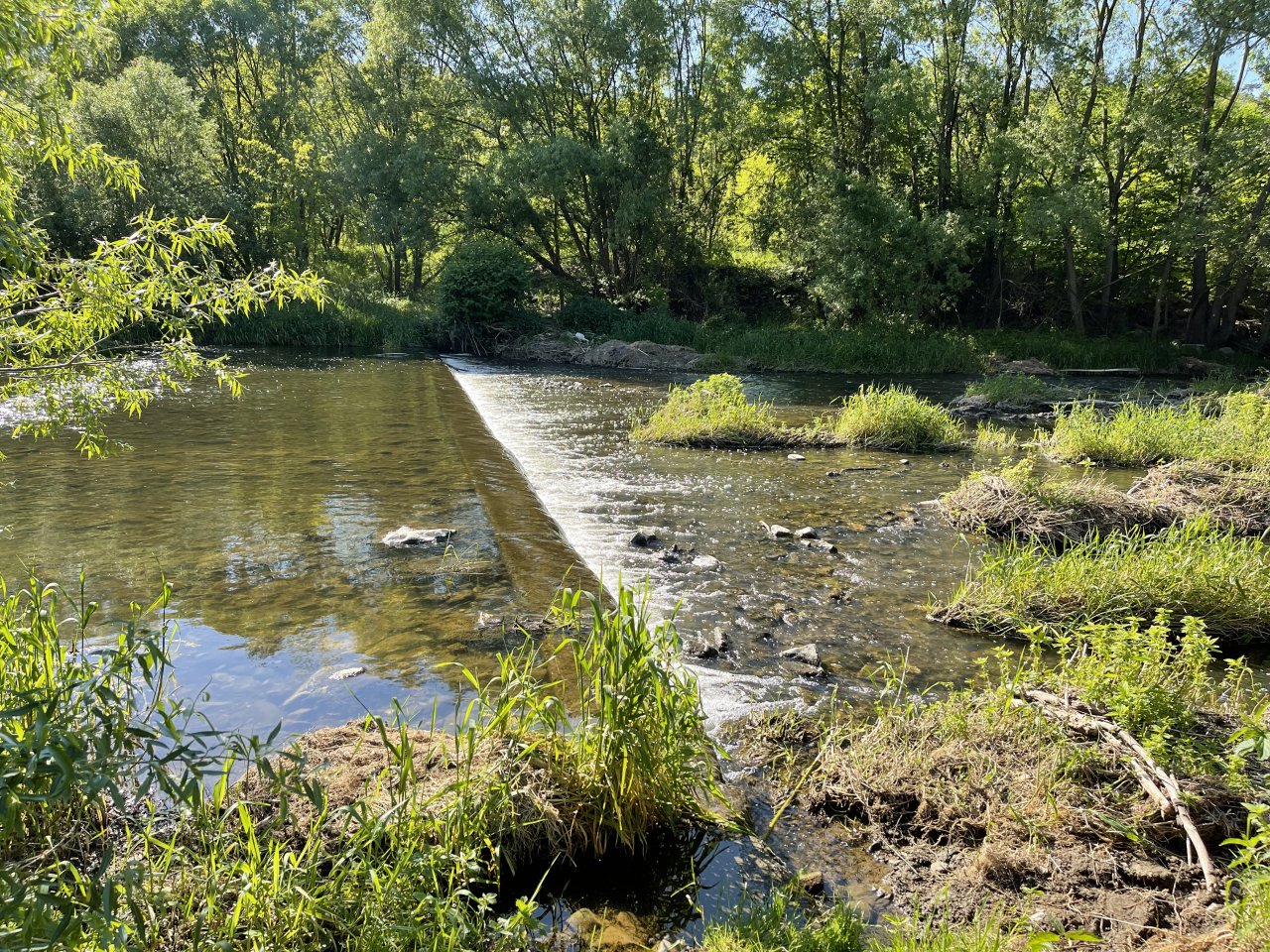 Lit�vka above Kraluv Dvur
