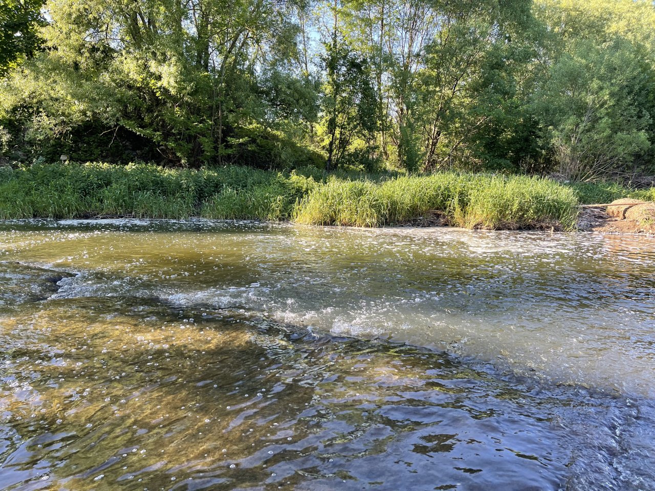 Lit�vka above Kraluv Dvur