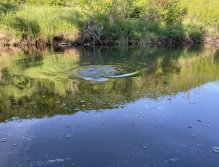 Litávka above Kraluv Dvur