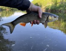 Litávka above Kraluv Dvur