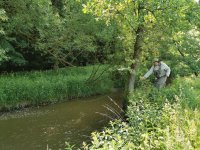 Hejlovka 1P - Small Trout Stream In Vysoina, Czech Republic