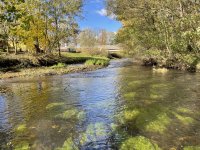 hlava River In Janovice