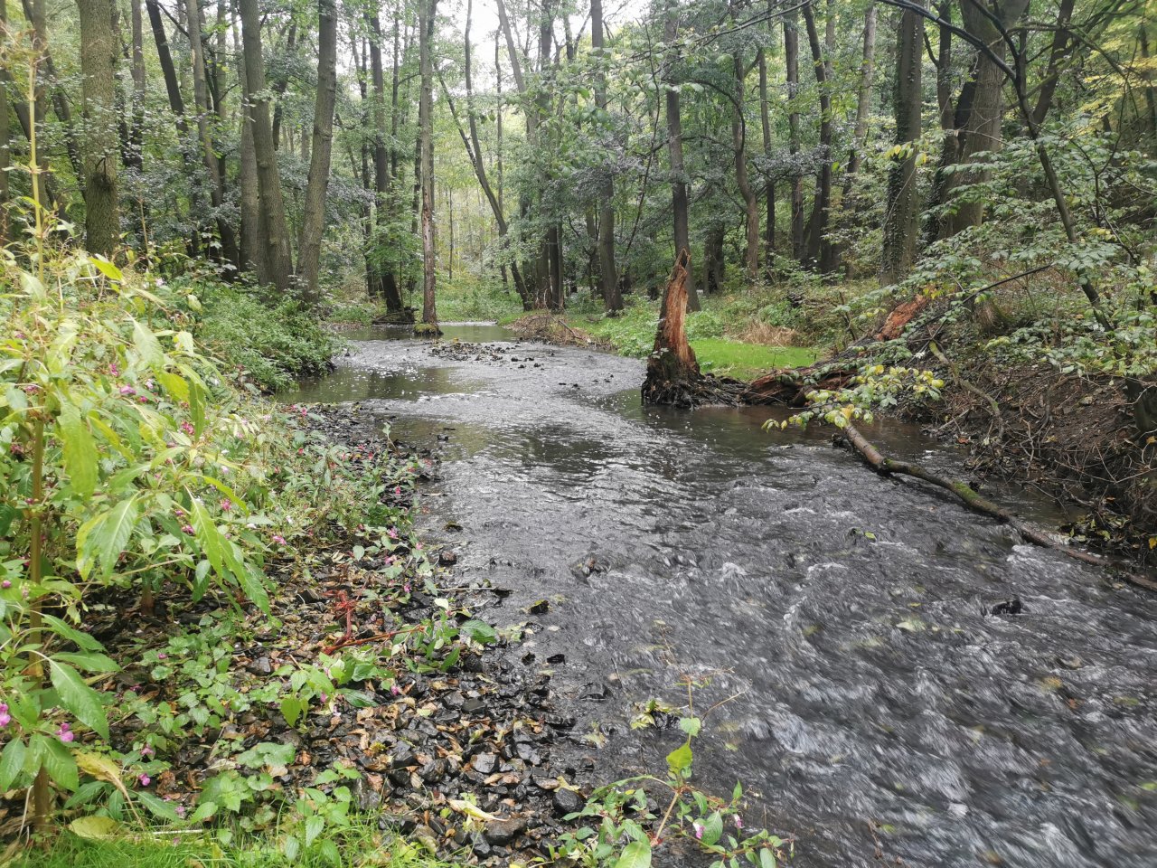 Ka��ka above Hostim