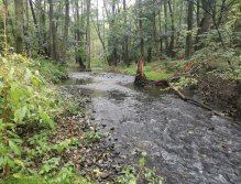 Kačáka above Hostim