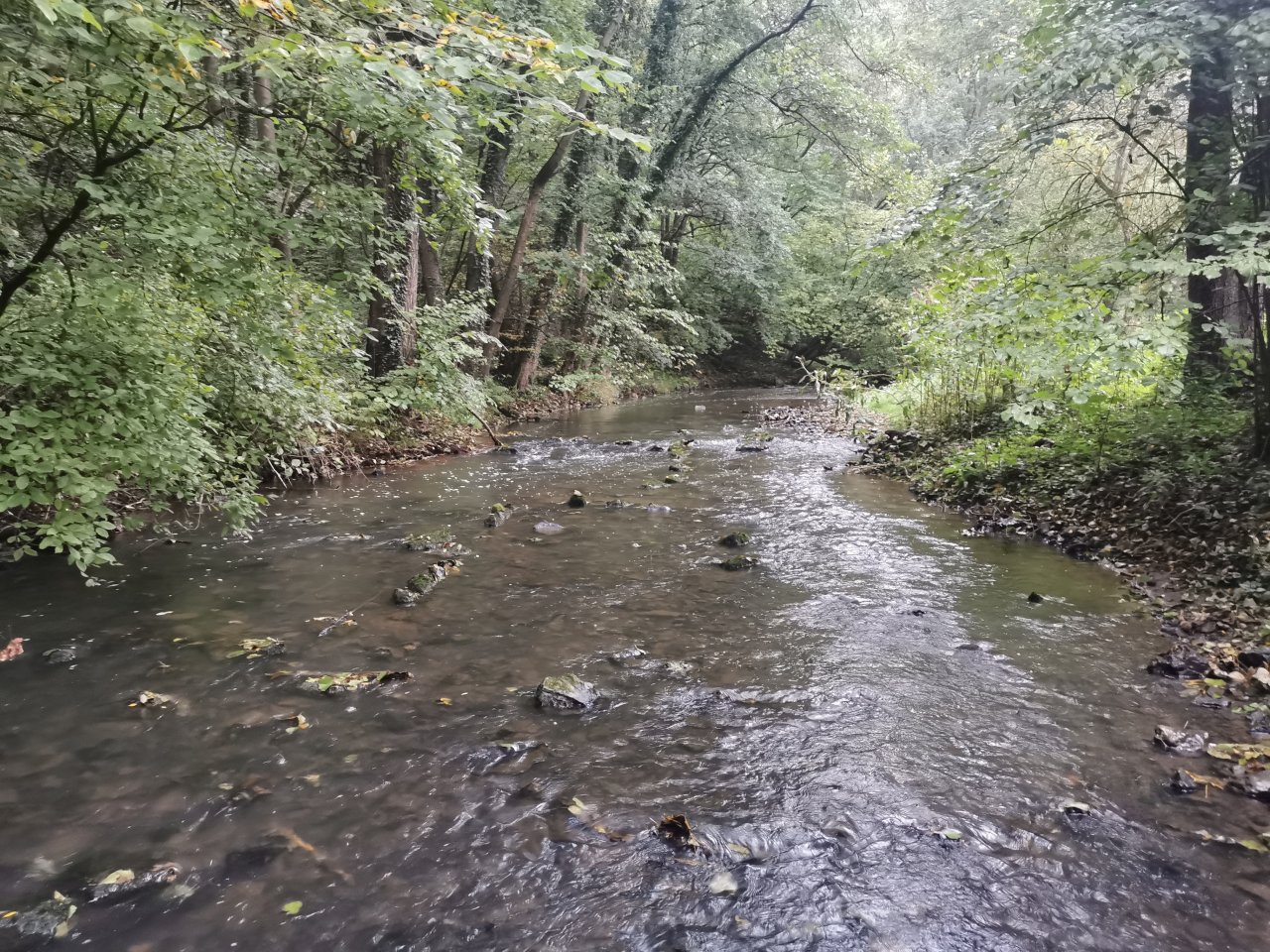 Ka��ka above Hostim