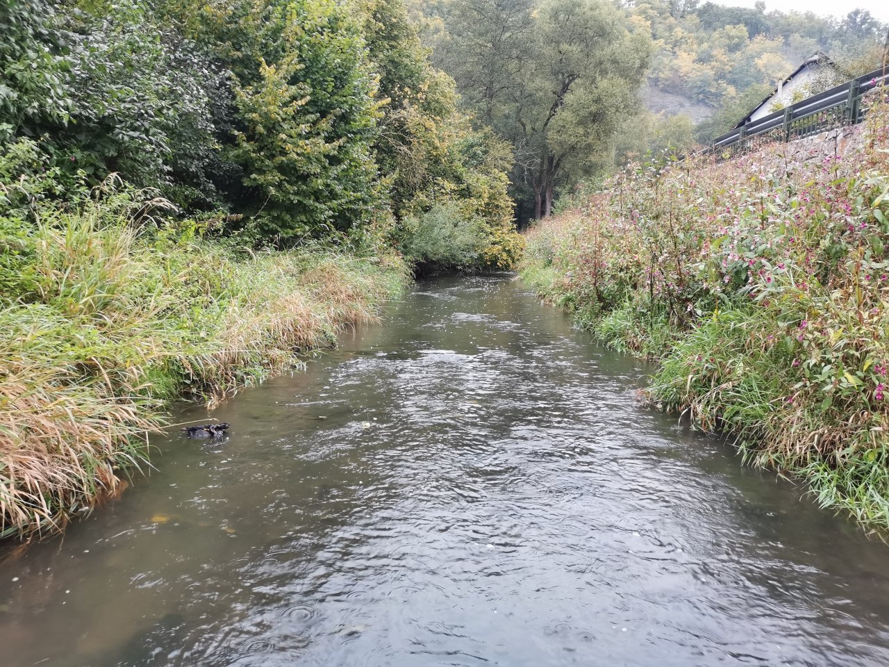 Ka��ka above Hostim