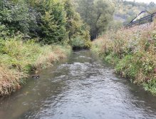 Kačáka above Hostim