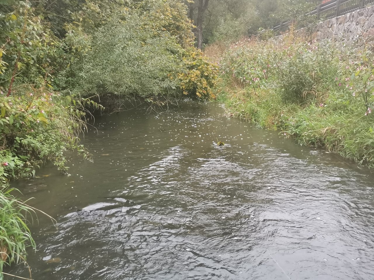 Ka��ka above Hostim