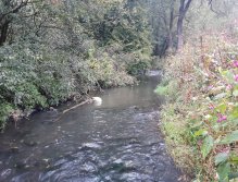 Kačáka above Hostim