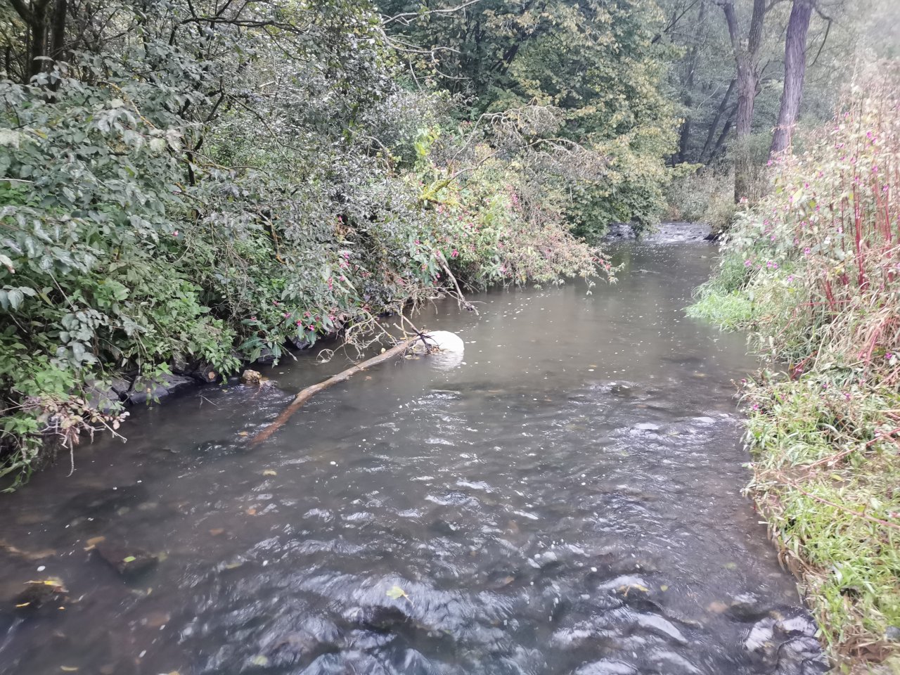 Ka��ka above Hostim