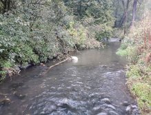 Kačáka above Hostim