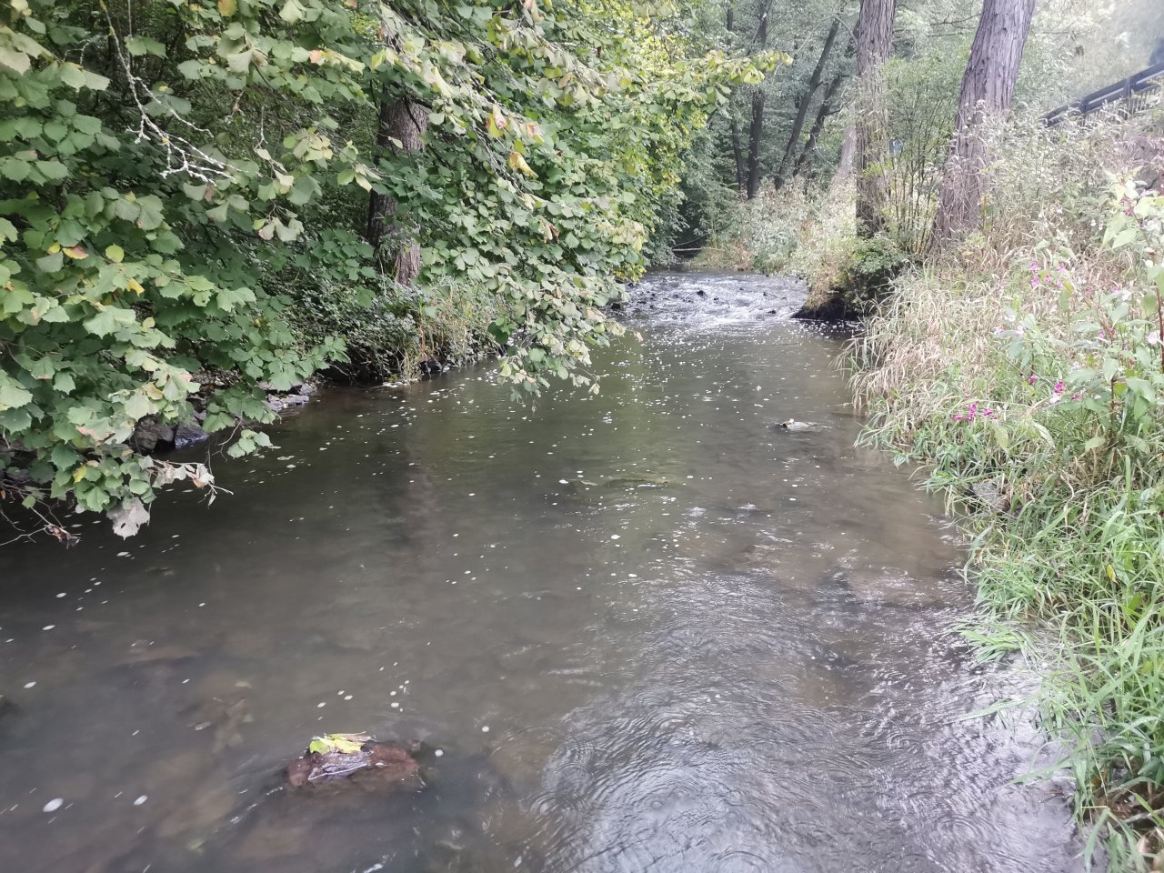 Ka��ka above Hostim