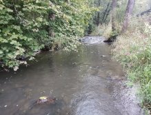 Kačáka above Hostim