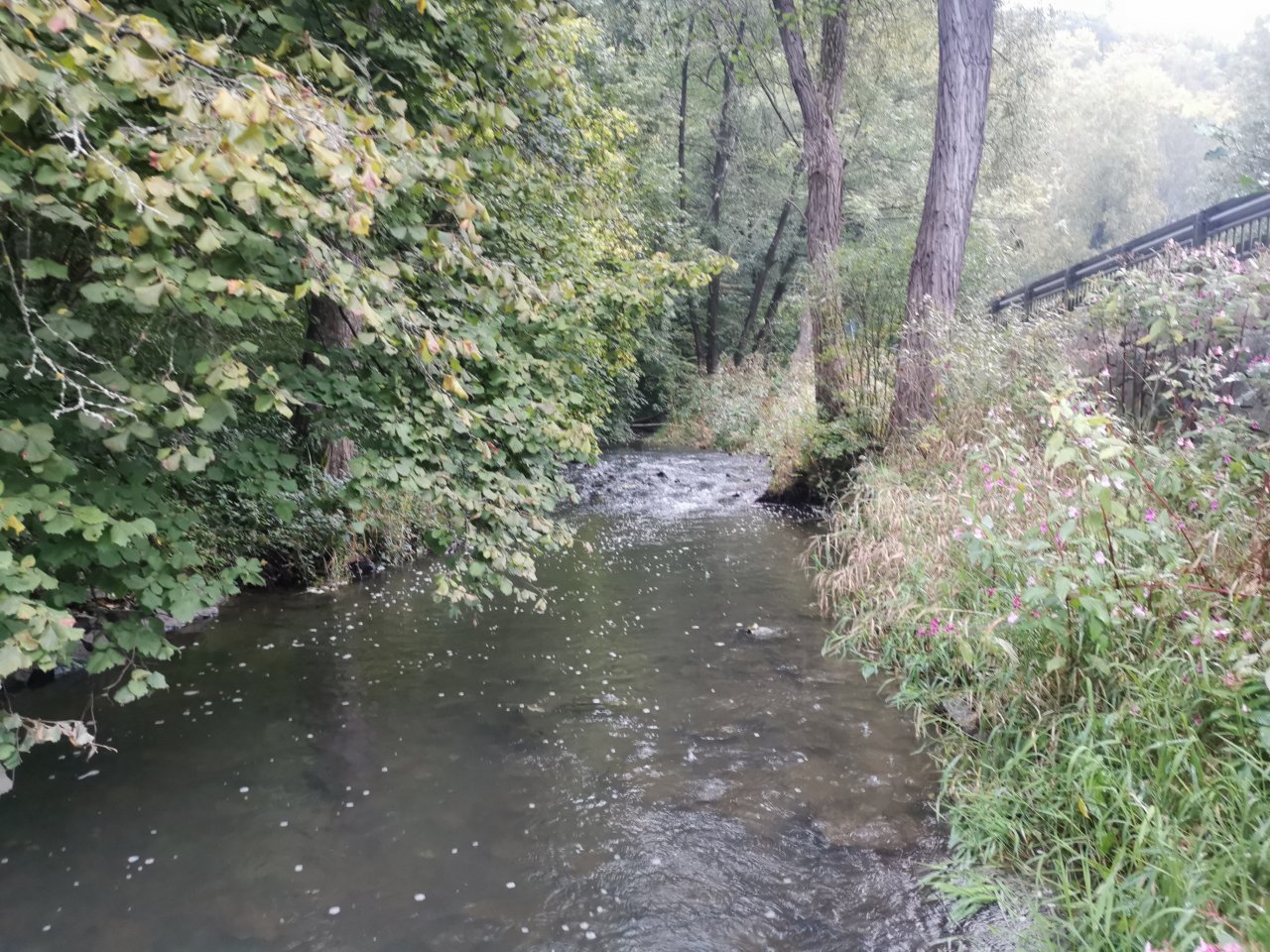 Ka��ka above Hostim