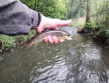 Kačáka above Hostim