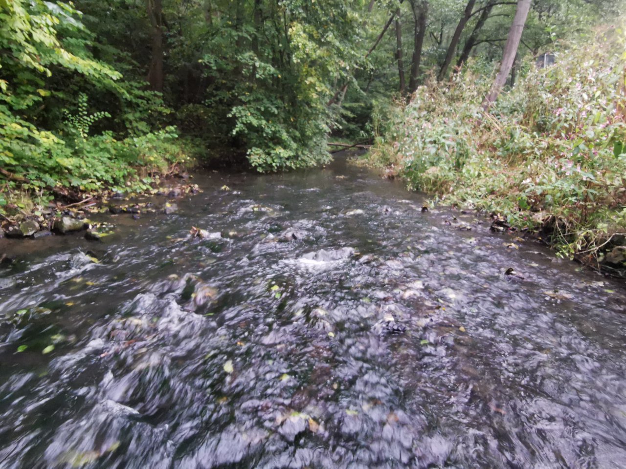 Ka��ka above Hostim