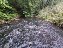 Kačáka above Hostim