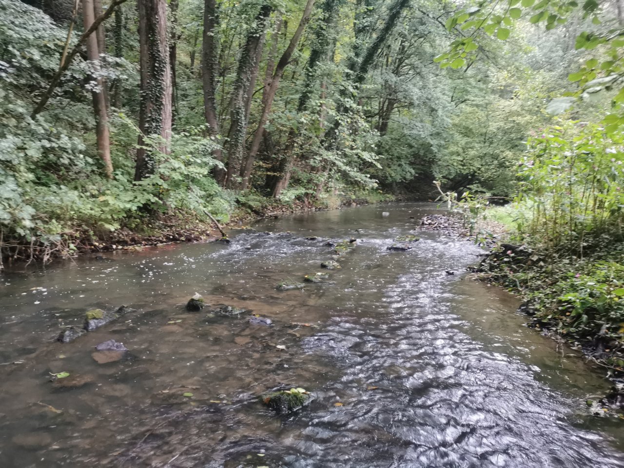 Ka��ka above Hostim