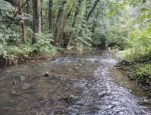 Kačáka above Hostim