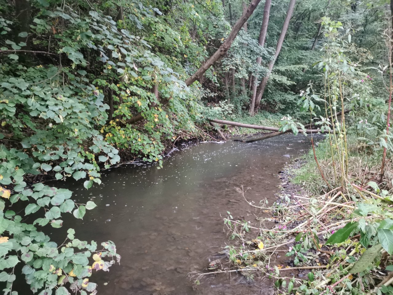 Ka��ka above Hostim