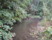 Kačáka above Hostim