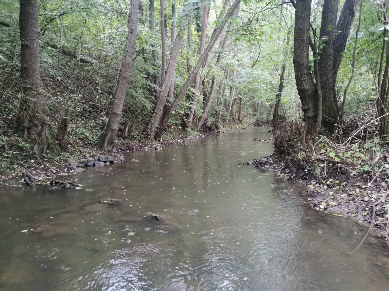 Ka��ka above Hostim