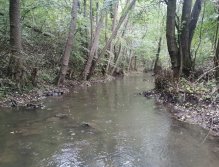 Kačáka above Hostim