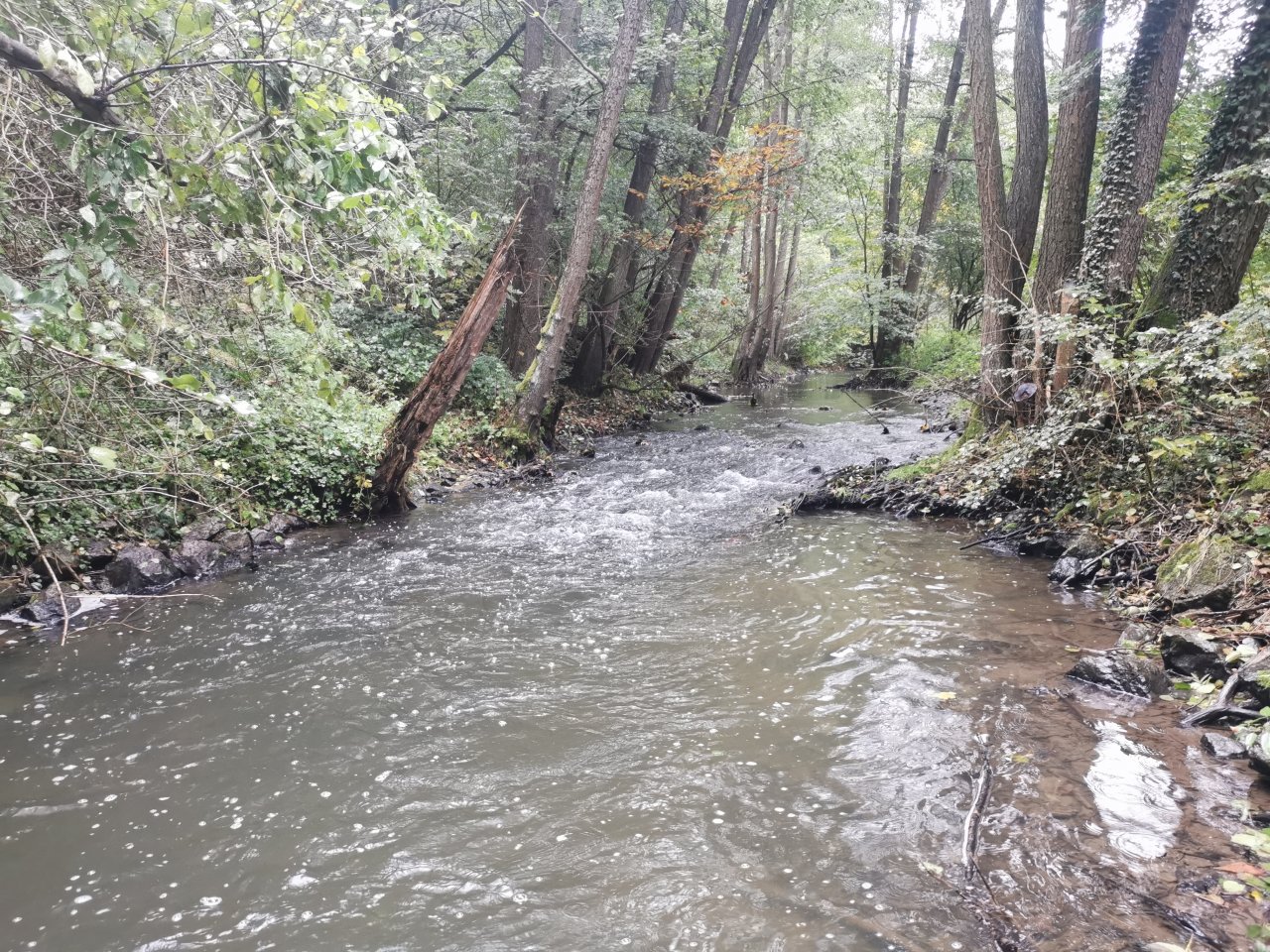 Ka��ka above Hostim